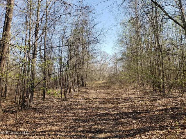 $2,541,000 | Hogfoot Road, Senatobia, MS 38668