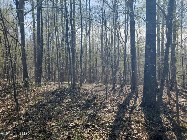 $2,541,000 | Hogfoot Road, Senatobia, MS 38668