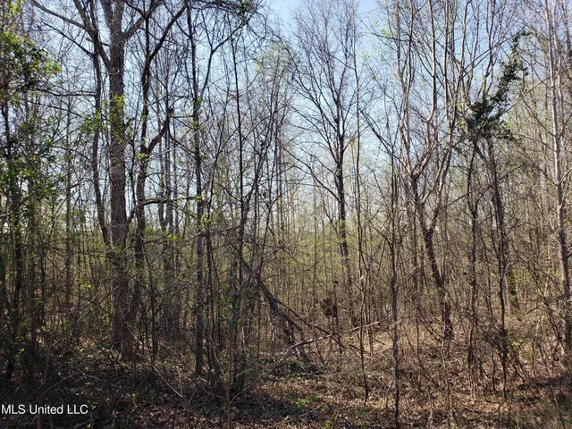 $2,541,000 | Hogfoot Road, Senatobia, MS 38668