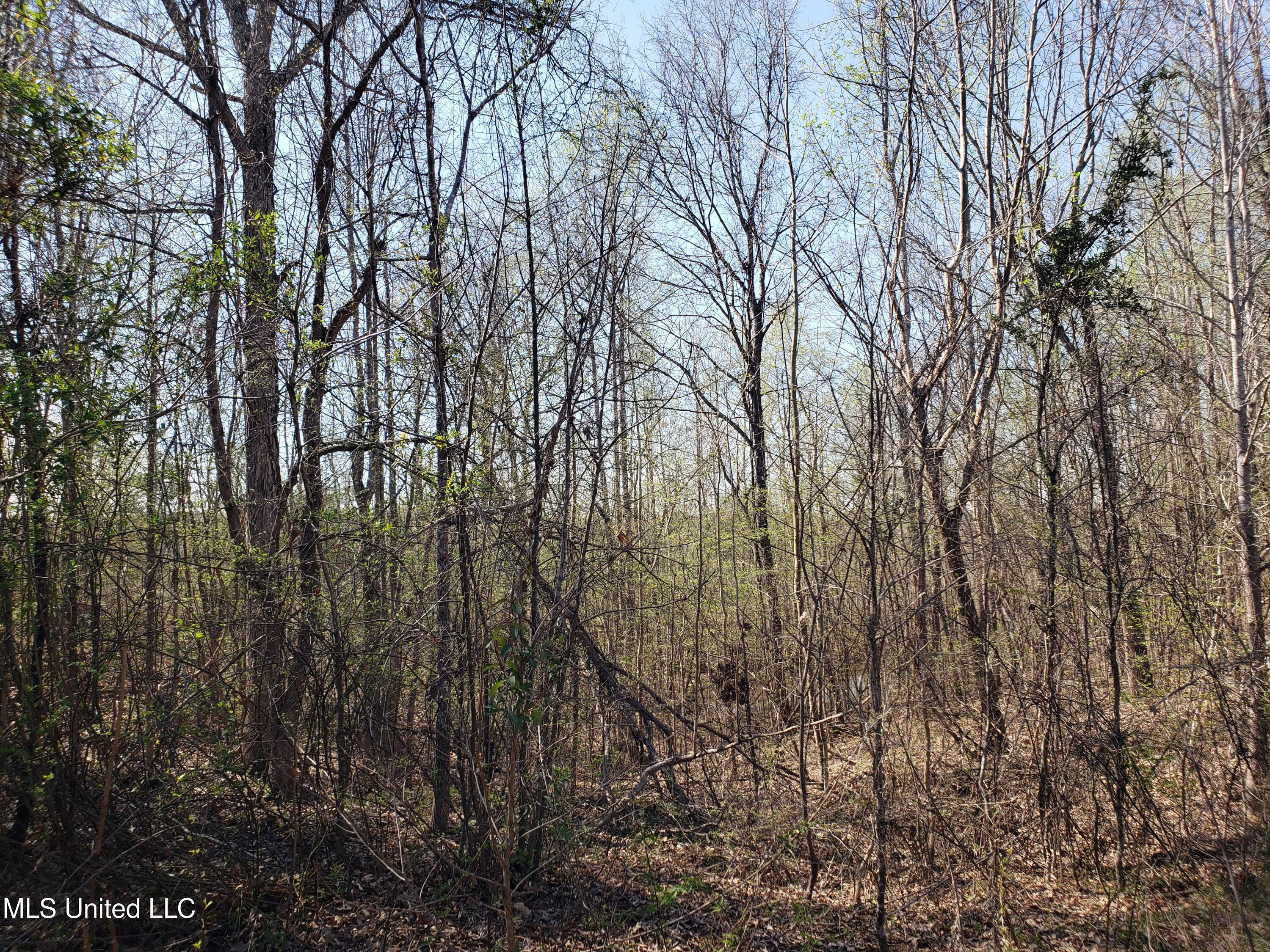 Hogfoot Road Senatobia, MS 38668 - Photo 94 of 145 20250326_153926