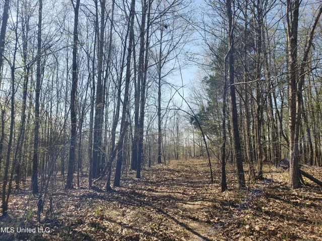 $2,541,000 | Hogfoot Road, Senatobia, MS 38668