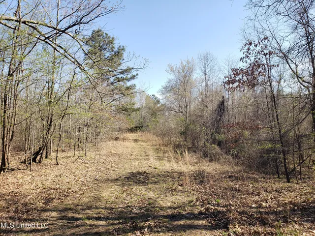 $2,541,000 | Hogfoot Road, Senatobia, MS 38668
