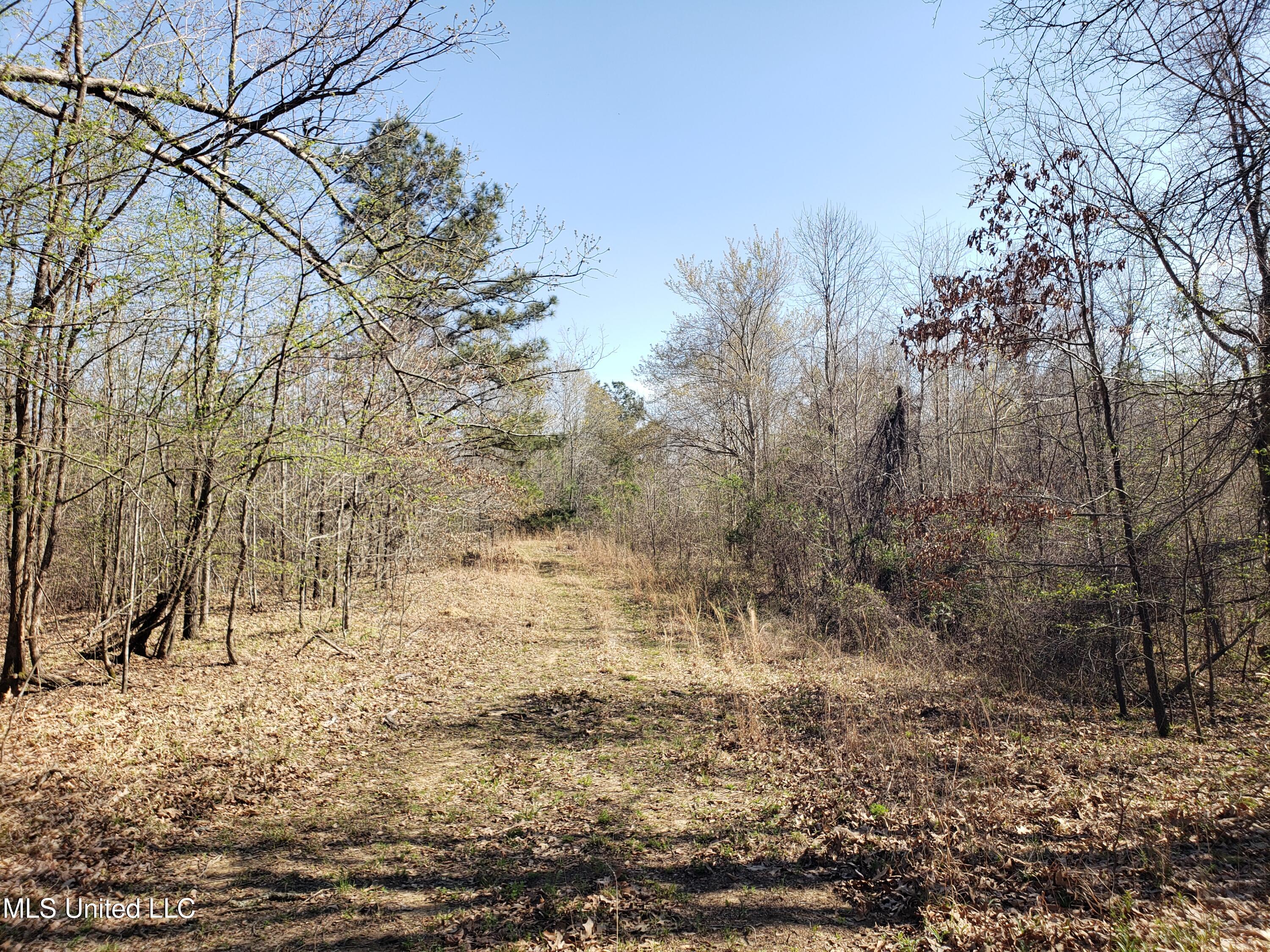 Hogfoot Road Senatobia, MS 38668 - Photo 96 of 145 20250326_153955