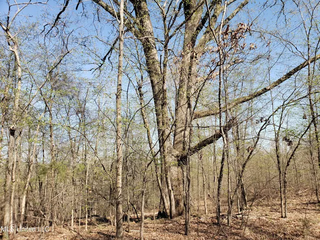 $2,541,000 | Hogfoot Road, Senatobia, MS 38668