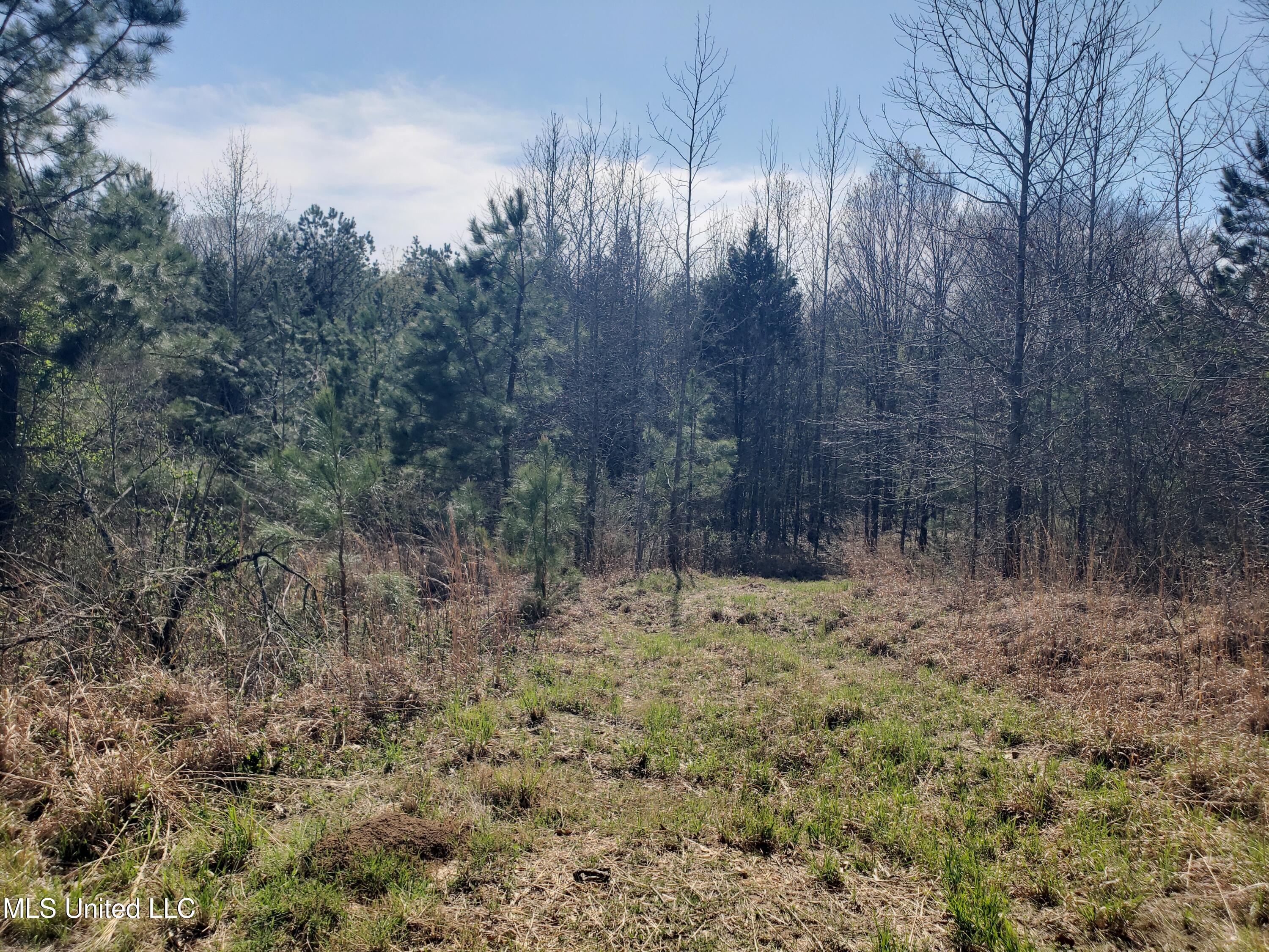 Hogfoot Road Senatobia, MS 38668 - Photo 98 of 145 20250326_154047