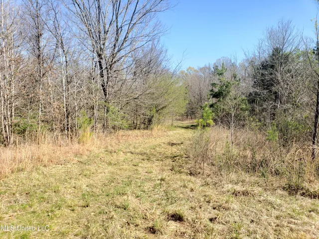 $2,541,000 | Hogfoot Road, Senatobia, MS 38668