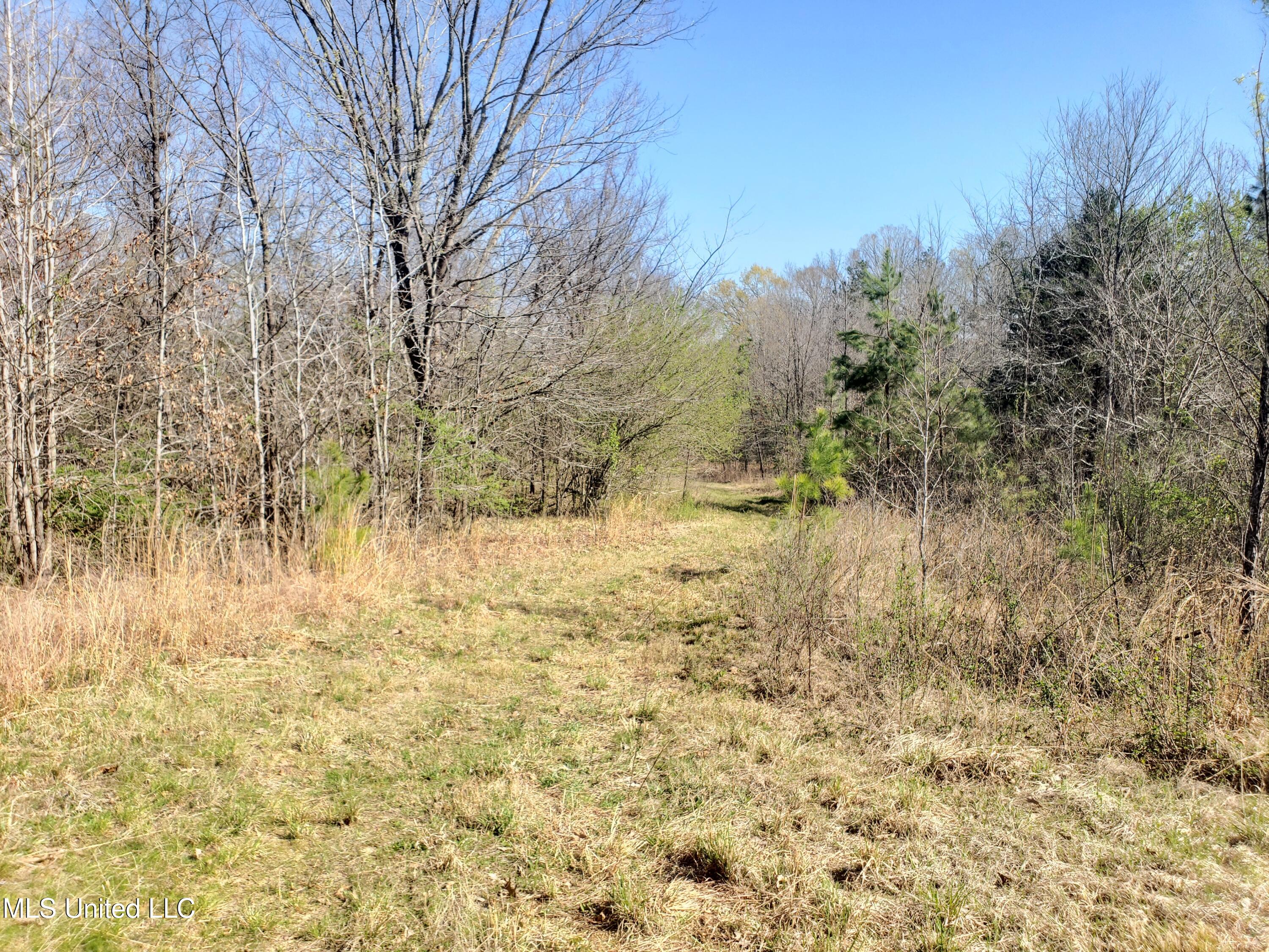 Hogfoot Road Senatobia, MS 38668 - Photo 99 of 145 20250326_154050