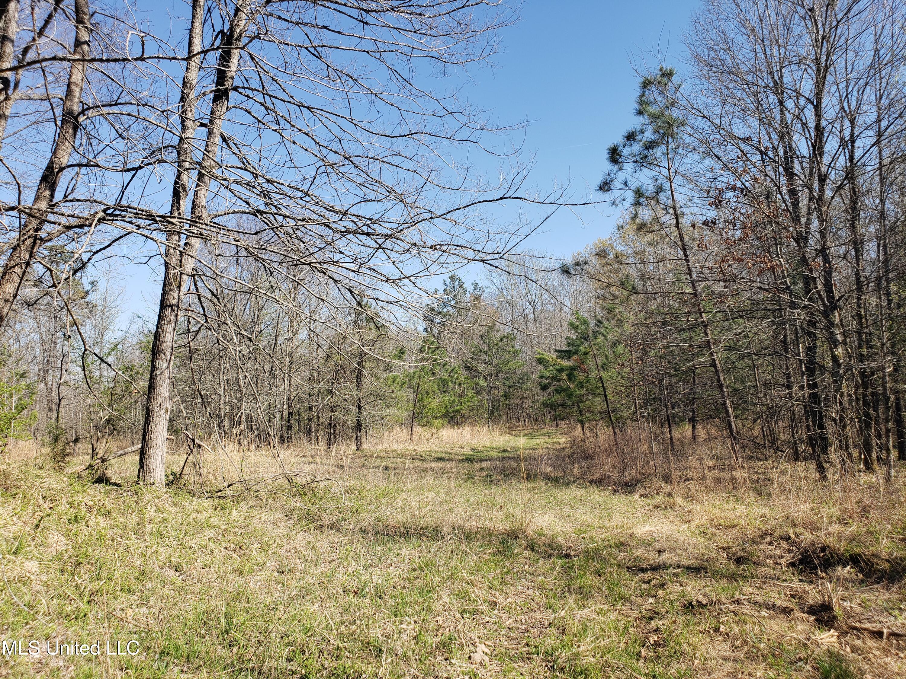Hogfoot Road Senatobia, MS 38668 - Photo 100 of 145 20250326_154148