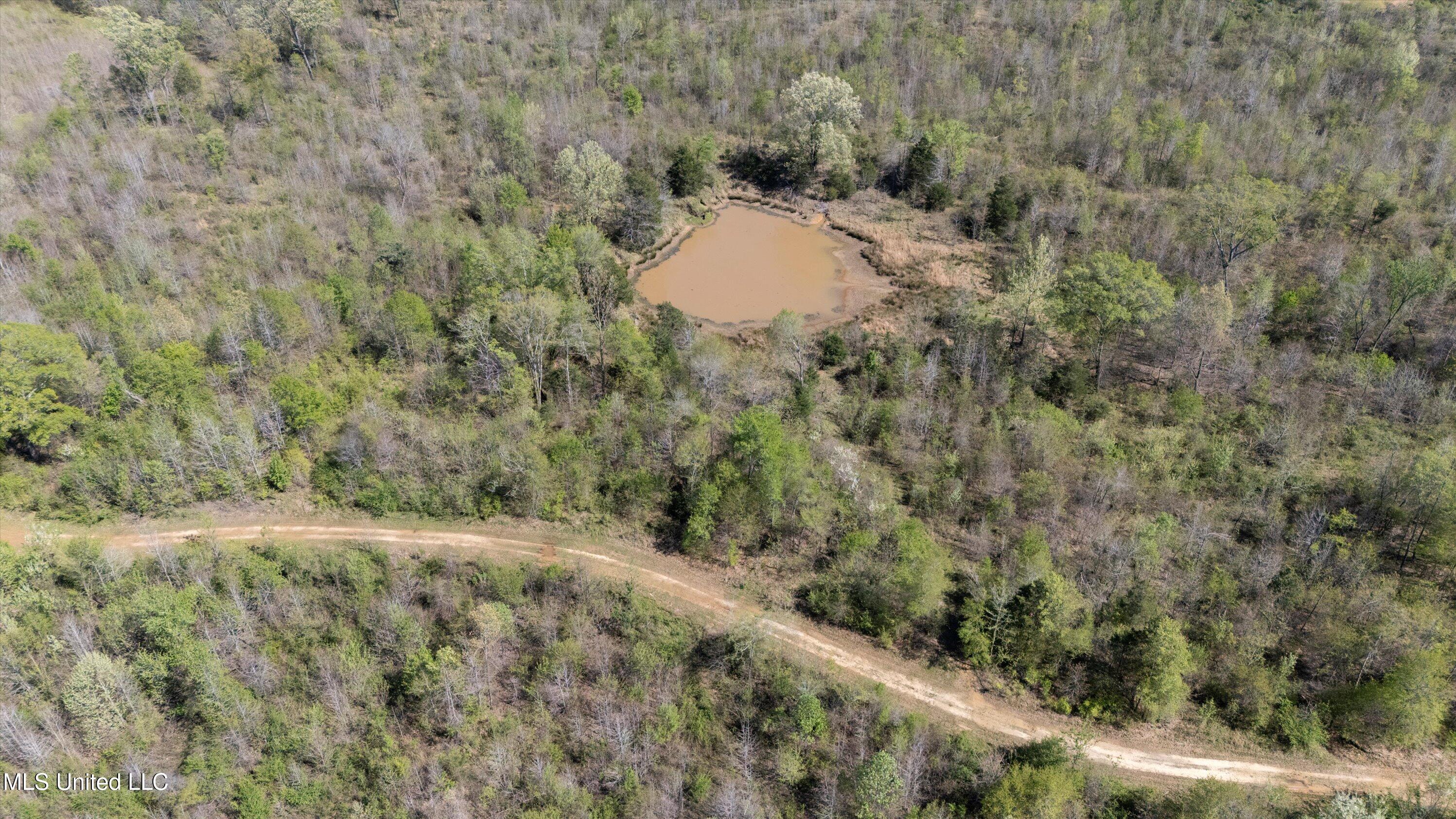 Hogfoot Road Senatobia, MS 38668 - Photo 10 of 145 10-DJI_20250407150915_0093_D