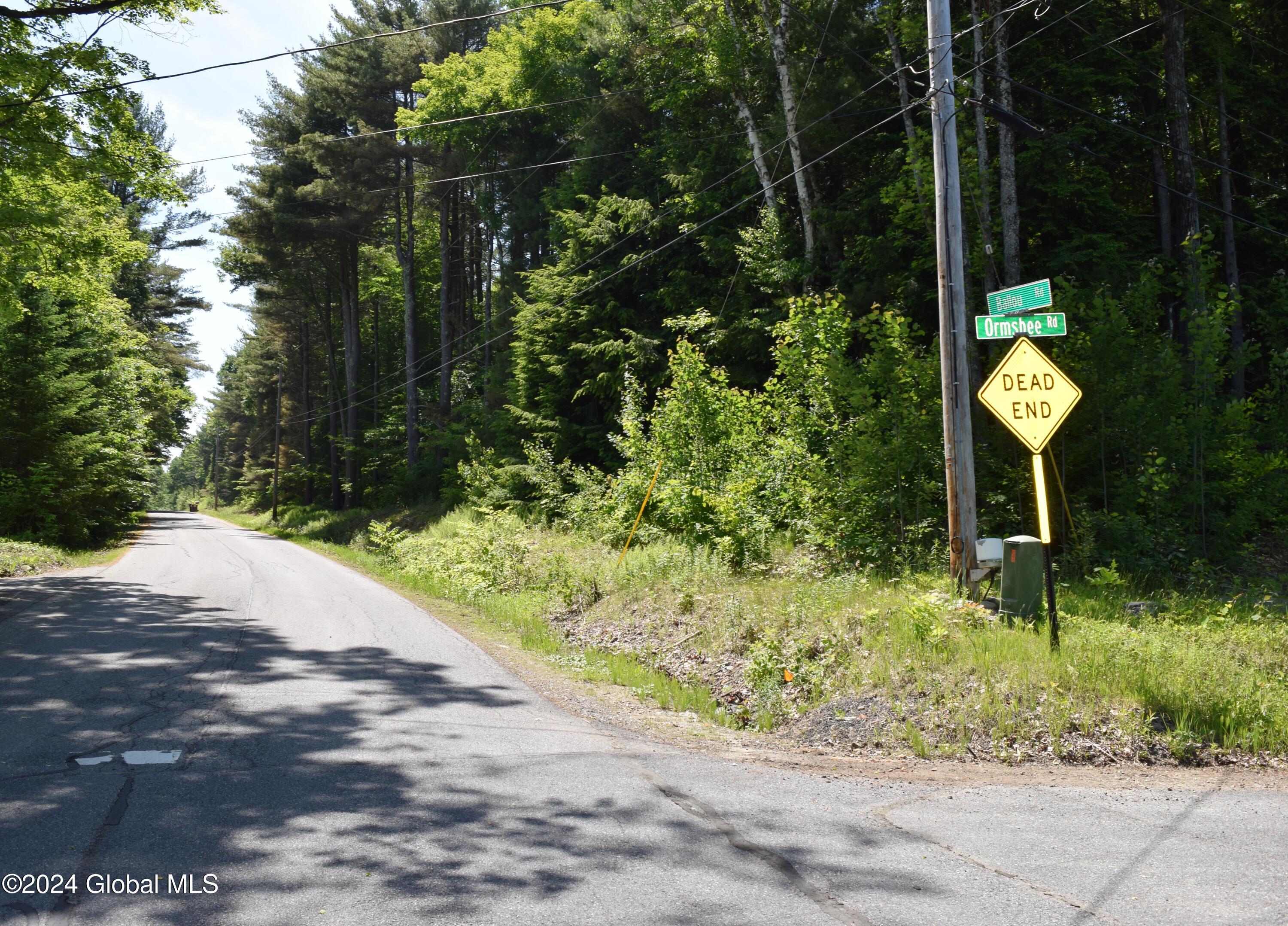 375 Ballou Road Greenfield, NY 12859 - Photo 1 of 7 Dead End Road