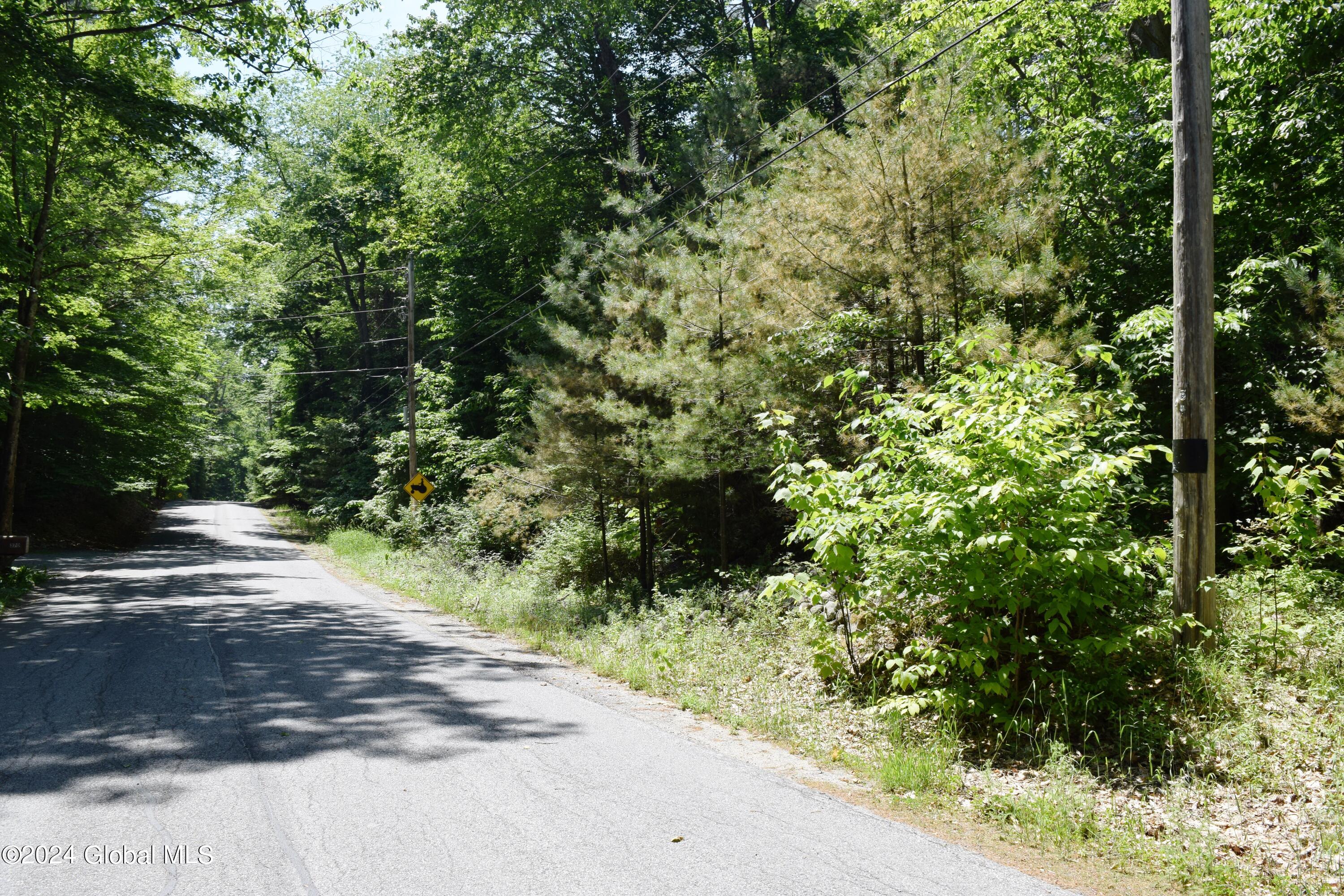 375 Ballou Road Greenfield, NY 12859 - Photo 2 of 7 2