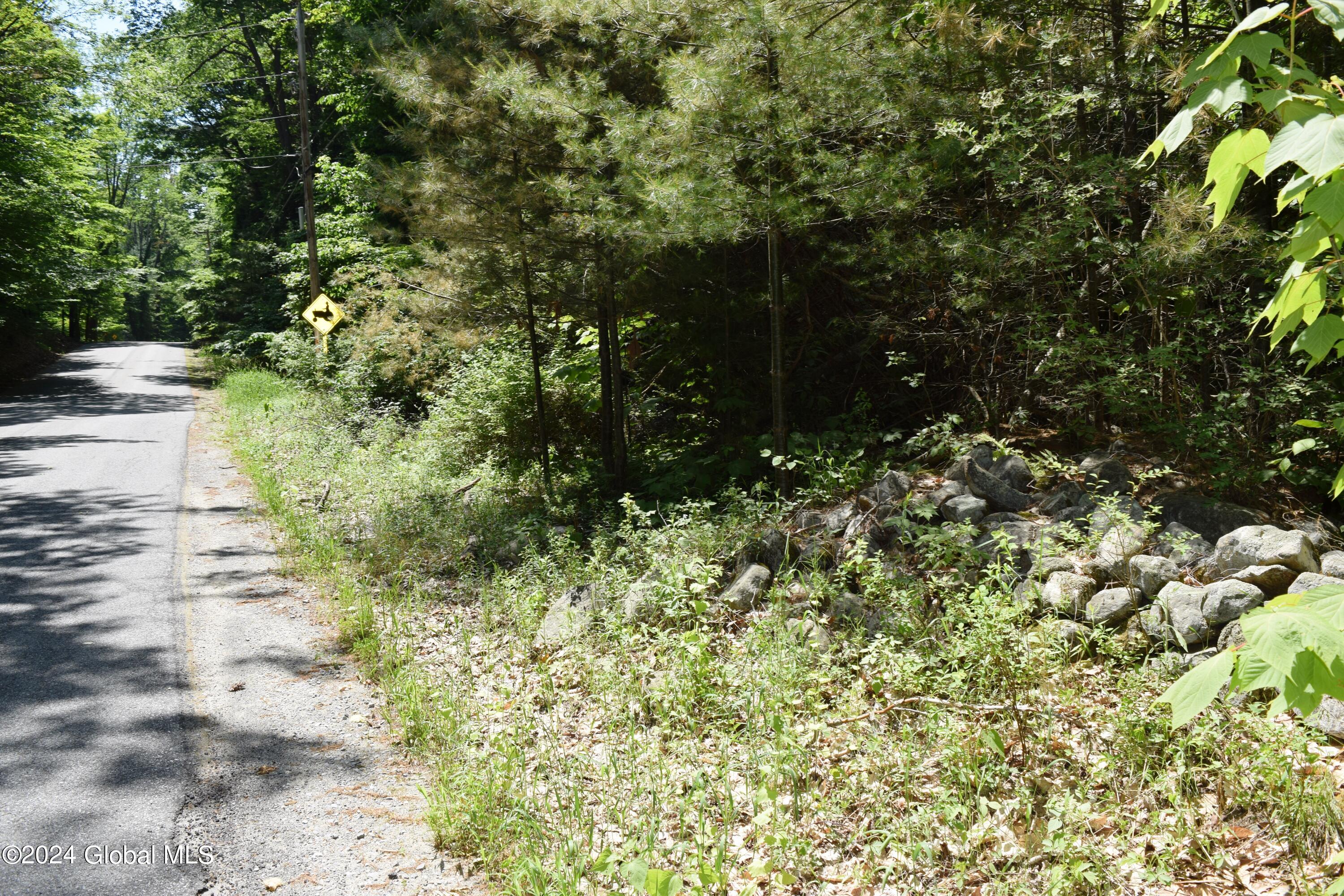 375 Ballou Road Greenfield, NY 12859 - Photo 3 of 7 3
