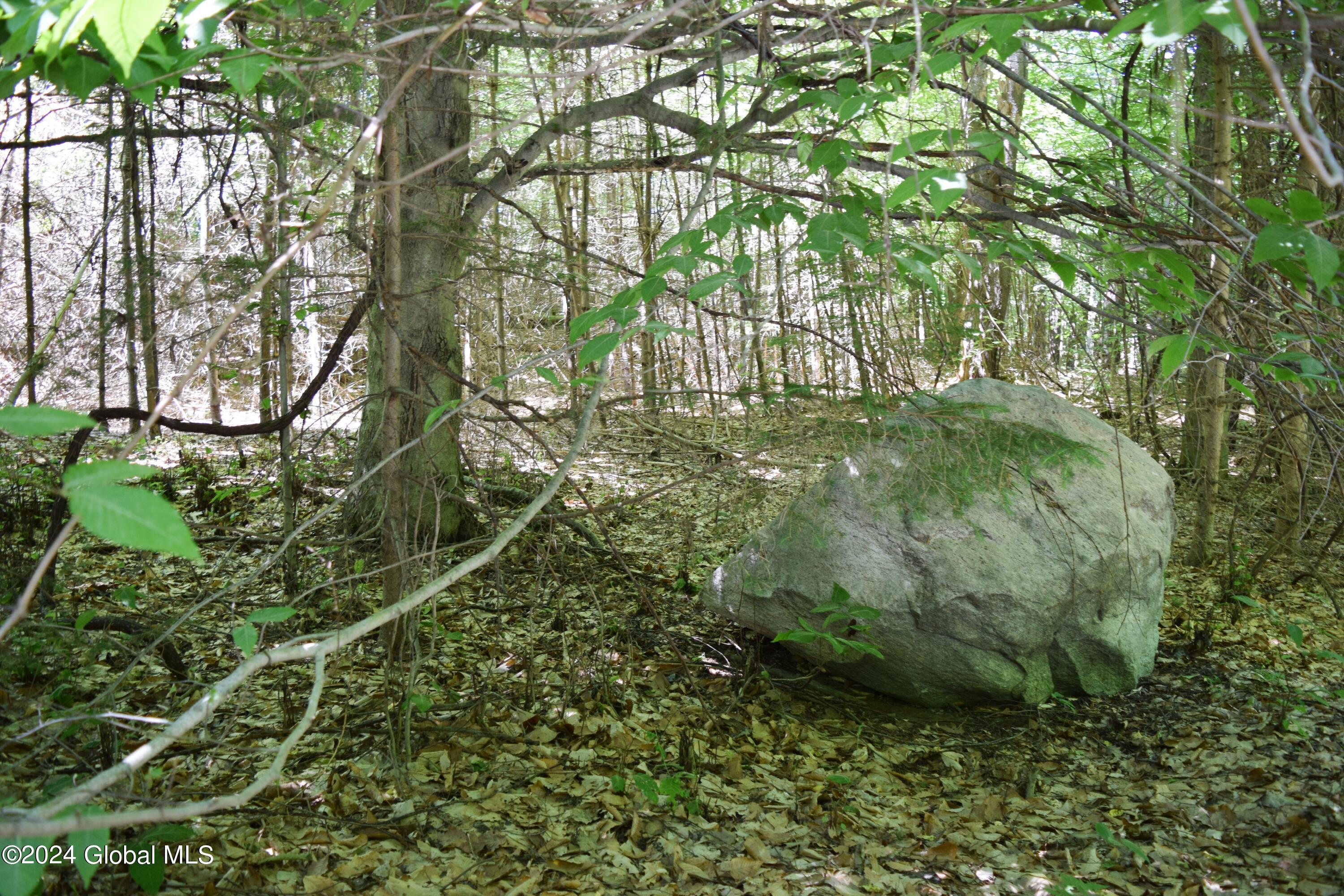 375 Ballou Road Greenfield, NY 12859 - Photo 4 of 7 4