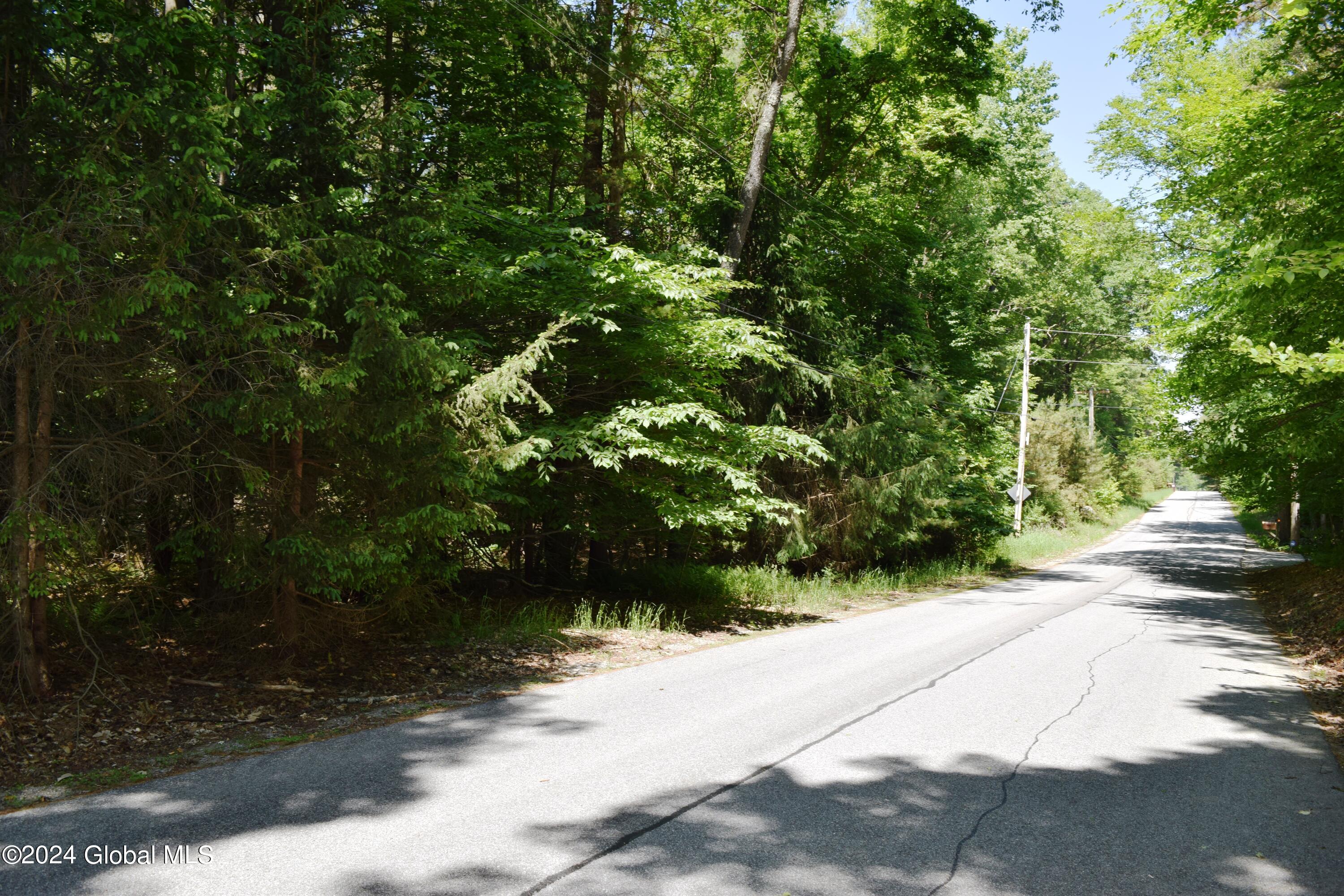 375 Ballou Road Greenfield, NY 12859 - Photo 6 of 7 6