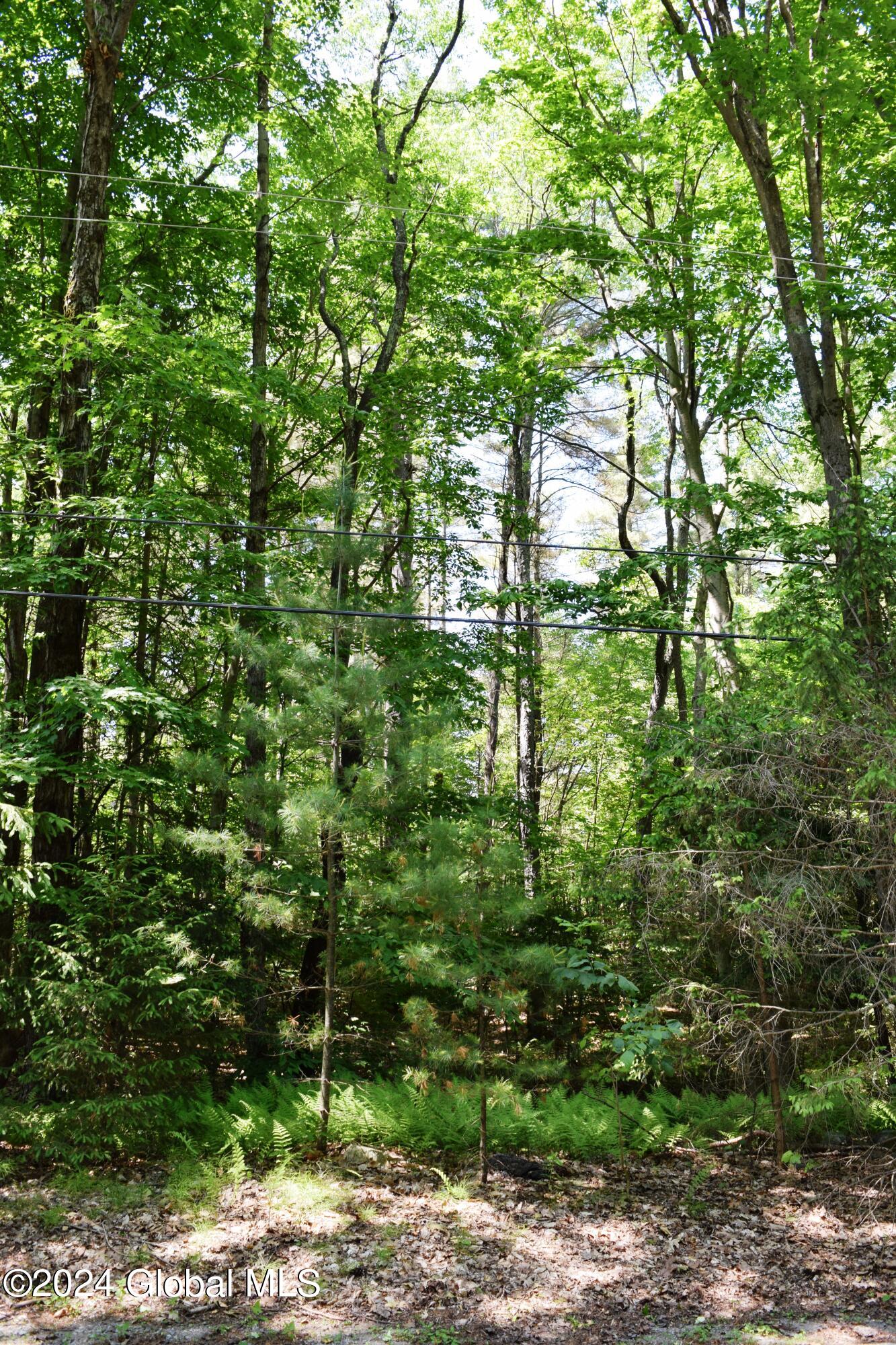 375 Ballou Road Greenfield, NY 12859 - Photo 7 of 7 7