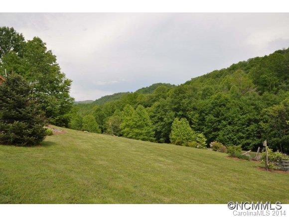 456 Norton Fork Road Hot Springs, NC 28743 - Photo 19 of 20 Gallery Image 19