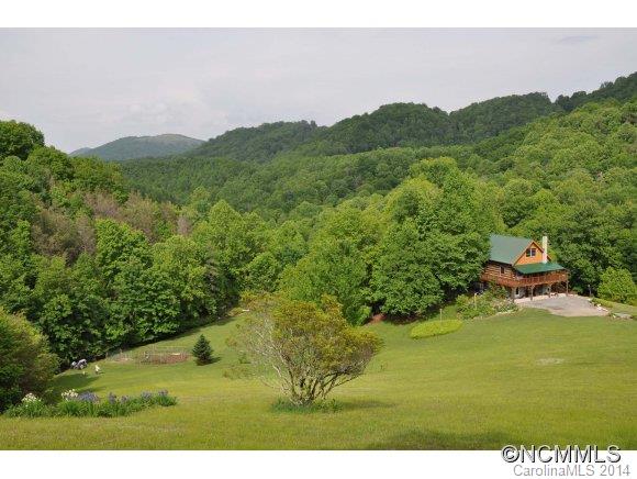 456 Norton Fork Road Hot Springs, NC 28743 - Photo 20 of 20 Gallery Image 20