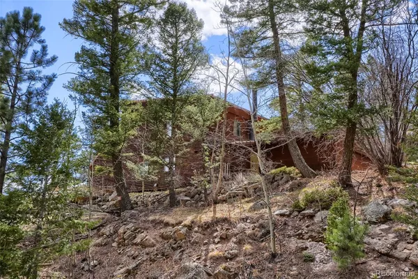 a backyard of a house with lots of trees