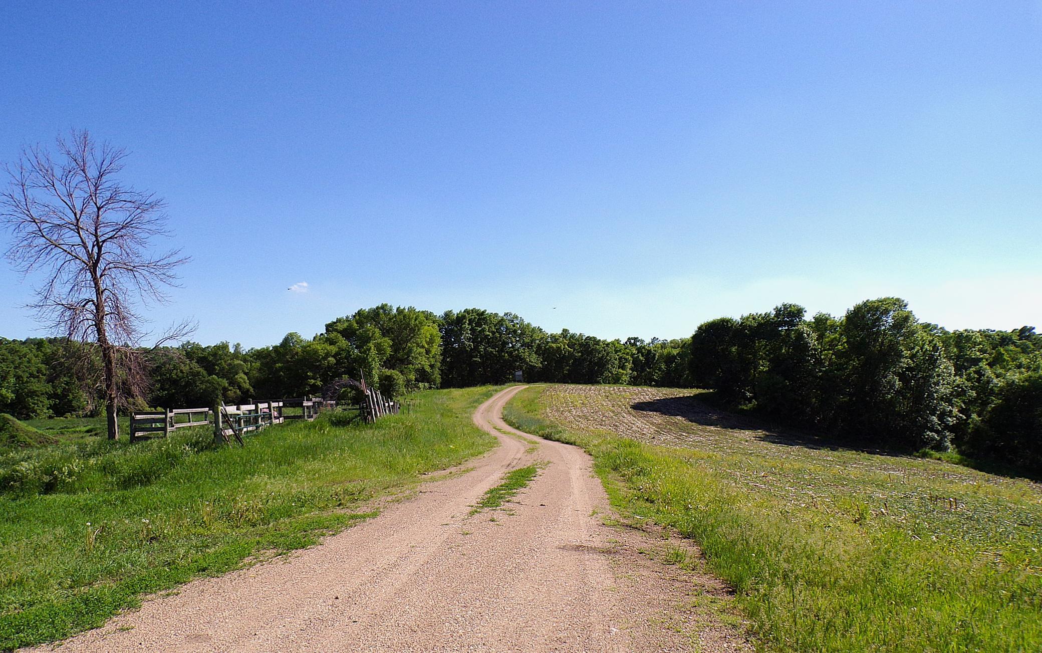 4199 Andes Road Southwest Kensington, MN 56343 - Photo 30 of 57