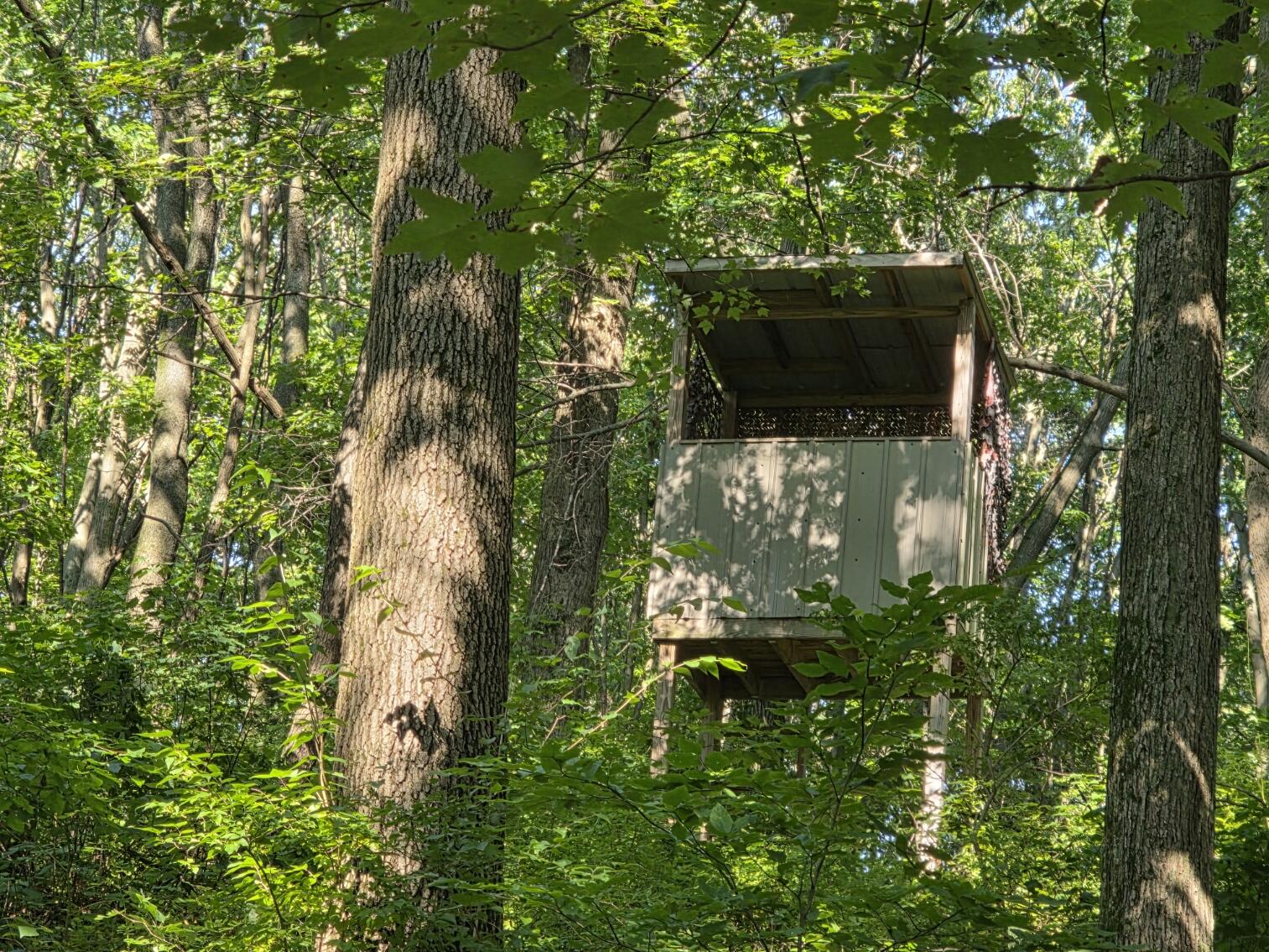 55942 Day Road Marcellus, MI 49067 - Photo 50 of 53 20260706_175032