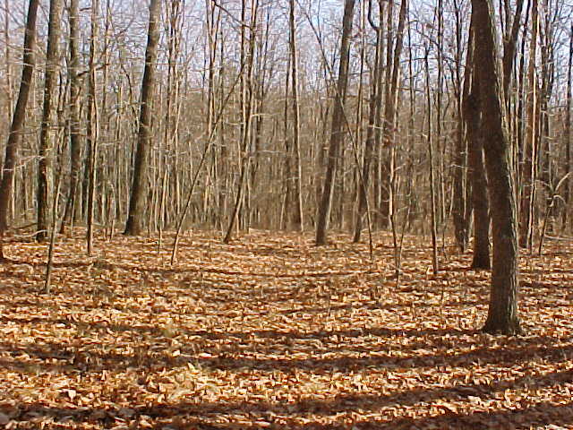 773 Ritchie Ridge Road Soddy Daisy, TN 37379 - Photo 1 of 6 Primary Photo
