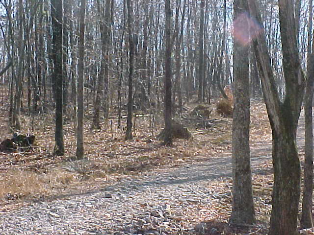 773 Ritchie Ridge Road Soddy Daisy, TN 37379 - Photo 2 of 6 Additional Photo