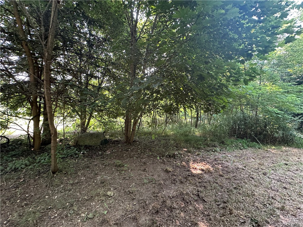 11256 Drake Road Conquest, NY 13033 - Photo 13 of 13