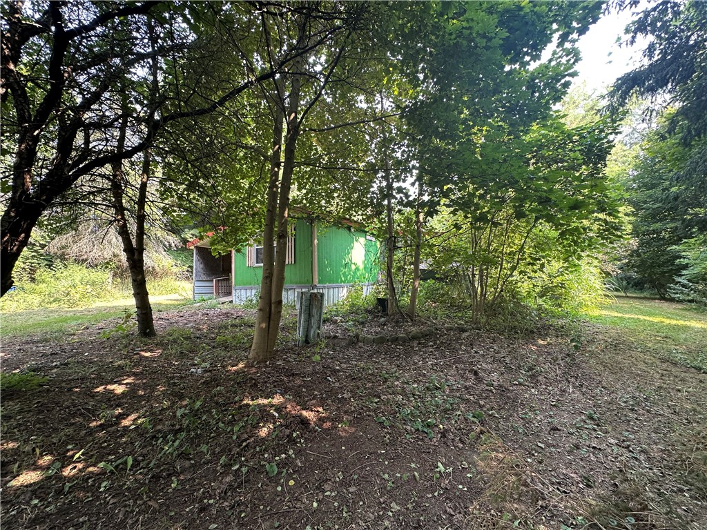 11256 Drake Road Conquest, NY 13033 - Photo 8 of 13