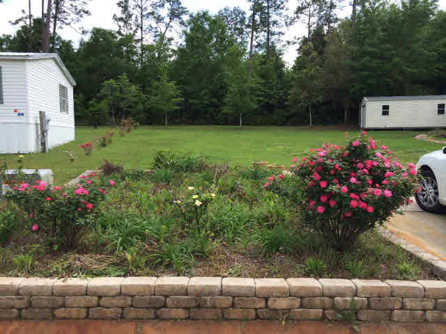 25094 Pompano Drive Elberta, AL 36530 - Photo 1 of 1