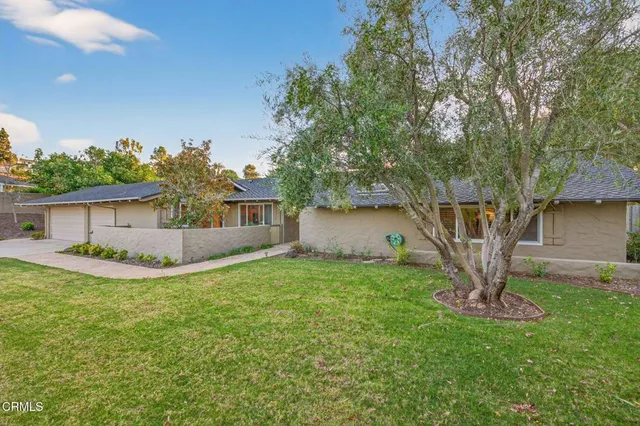 a view of a house with backyard and a tree