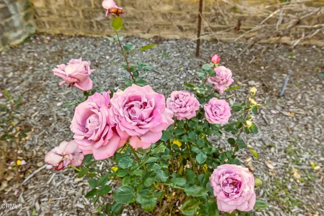 $1,399,000 | 665 Trueno Avenue, Camarillo, CA 93010