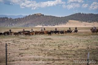 33185-9 9th Hartsel, CO 80449 - Photo 18 of 20