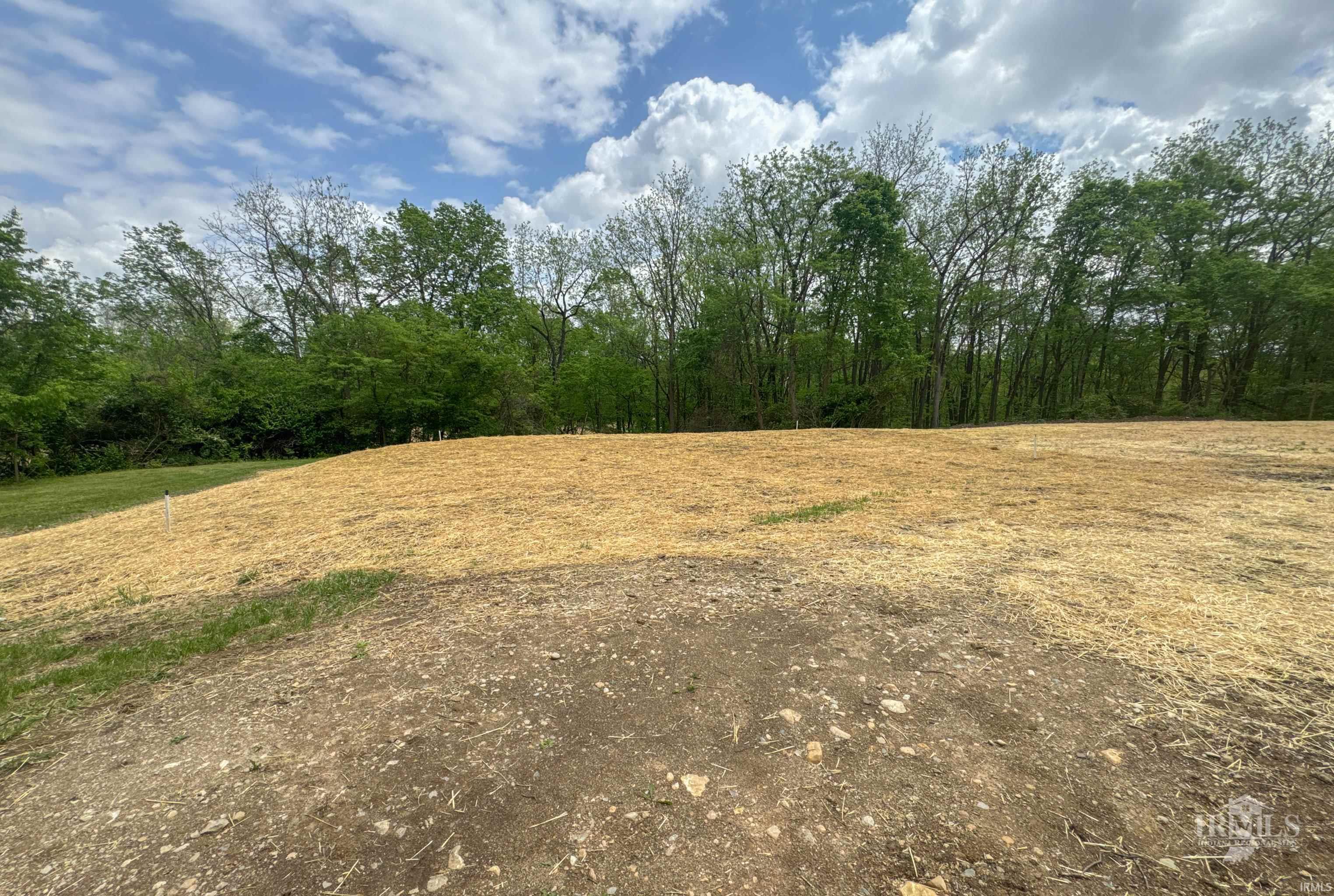 2510 South Whitney Road Selma, IN 47383 - Photo 9 of 34