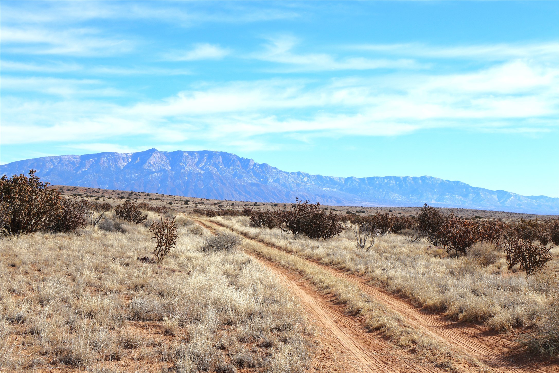 Lot 23-24 Rio Rancho Estates Northeast Rio Rancho, NM 87144 - Photo 1 of 1 Gallery Image 1