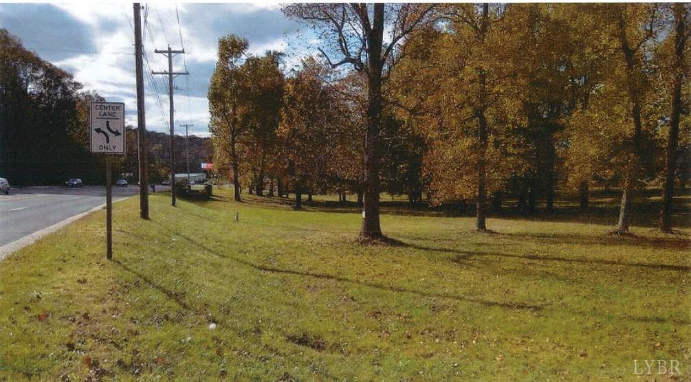 16380 Forest Road Forest, VA 24551 - Photo 2 of 5 Street View - 16380 Forest Rd