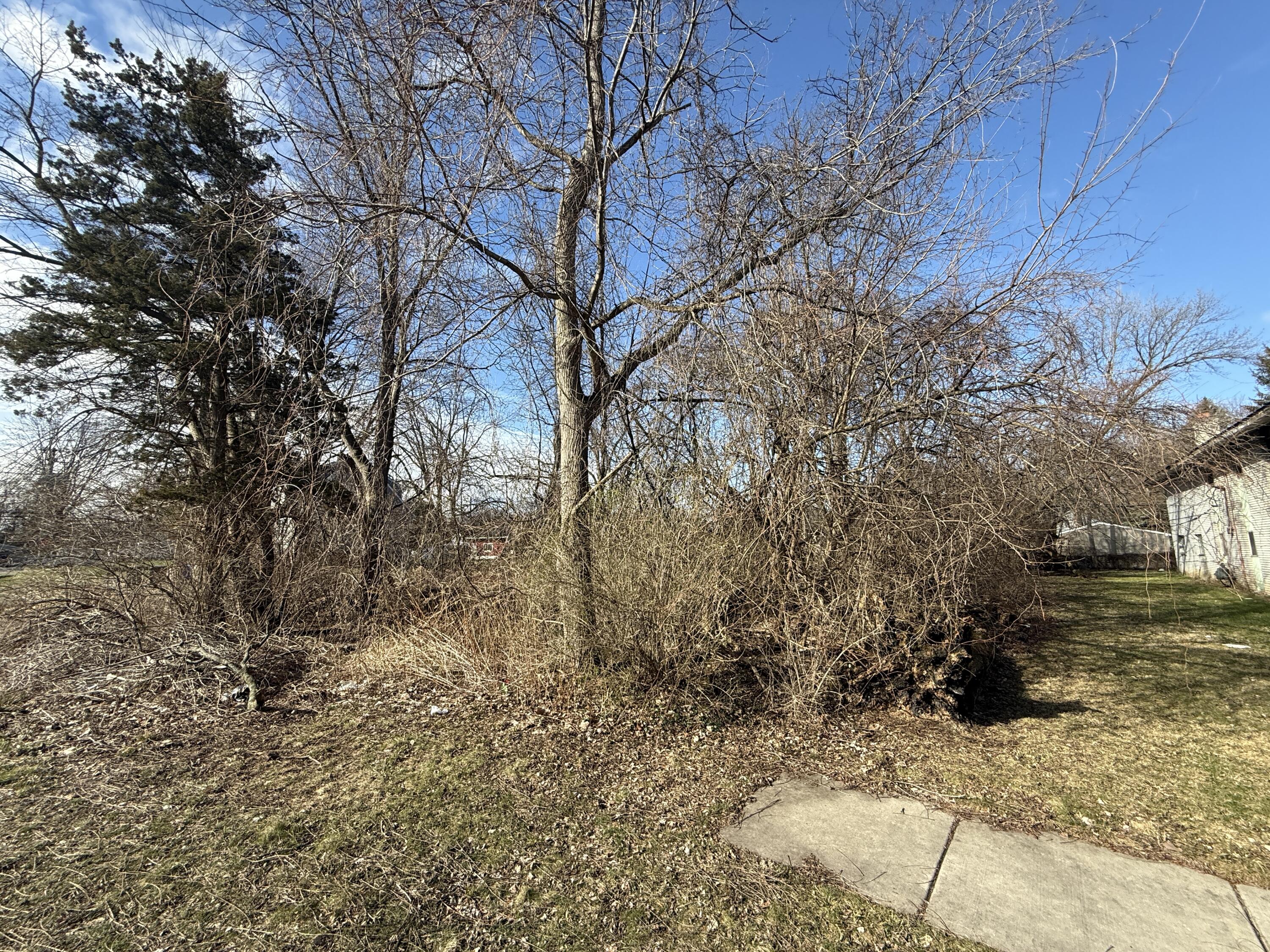 358 Arcola Street Inkster, MI 48141 - Photo 2 of 3 IMG_0787