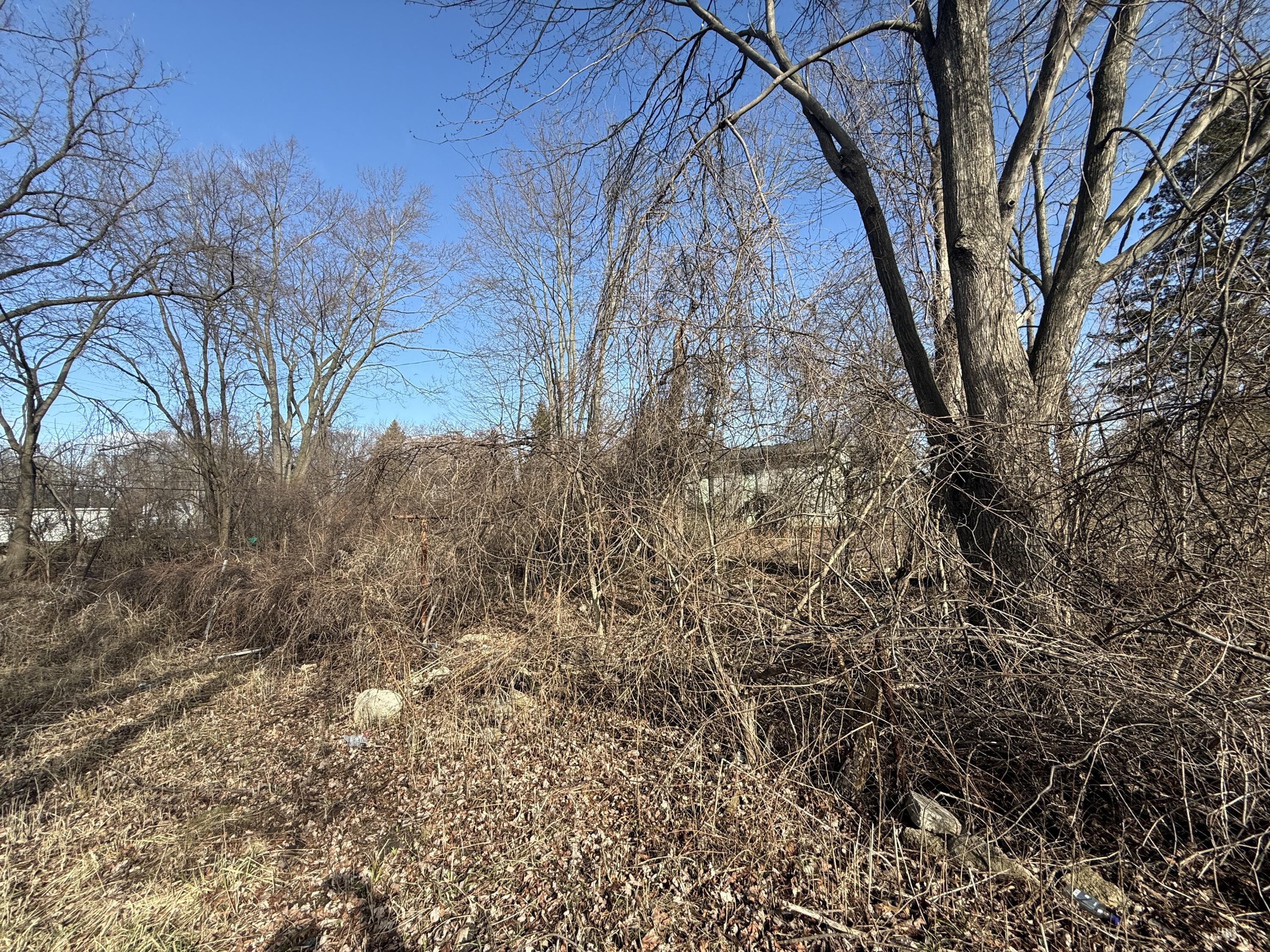 358 Arcola Street Inkster, MI 48141 - Photo 3 of 3 IMG_0786