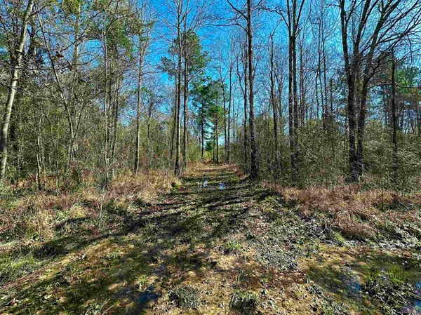 $175,000 | D-4 A Stella Lane, Walker, LA 70785