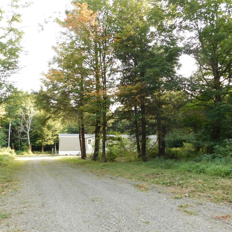 646 Pitcher Springs Road McDonough, NY 13801 - Photo 8 of 33 Gallery Image 8