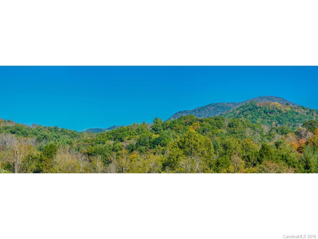 Lot 7 Cane Creek Road, Unit 7 Fletcher, NC 28732 - Photo 11 of 17 Gallery Image 11