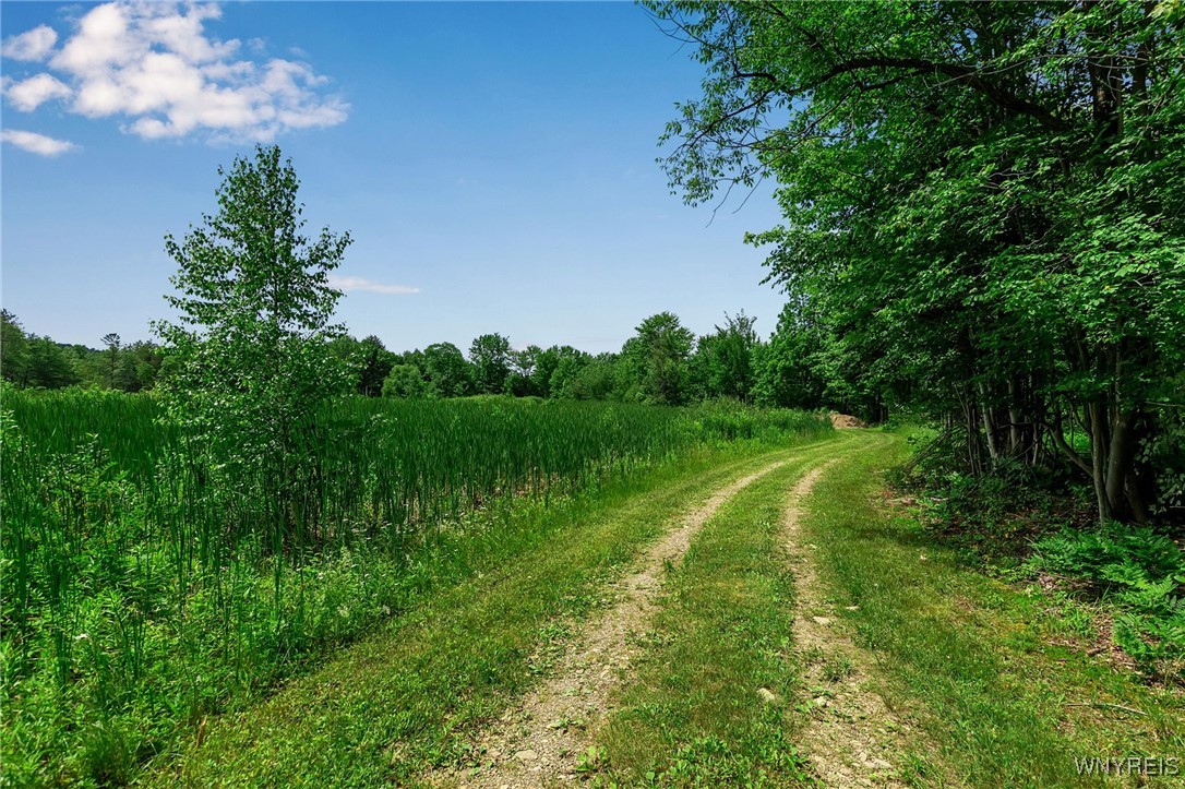 0 Toad Hollow Road Little Valley, NY 14755 - Photo 11 of 49