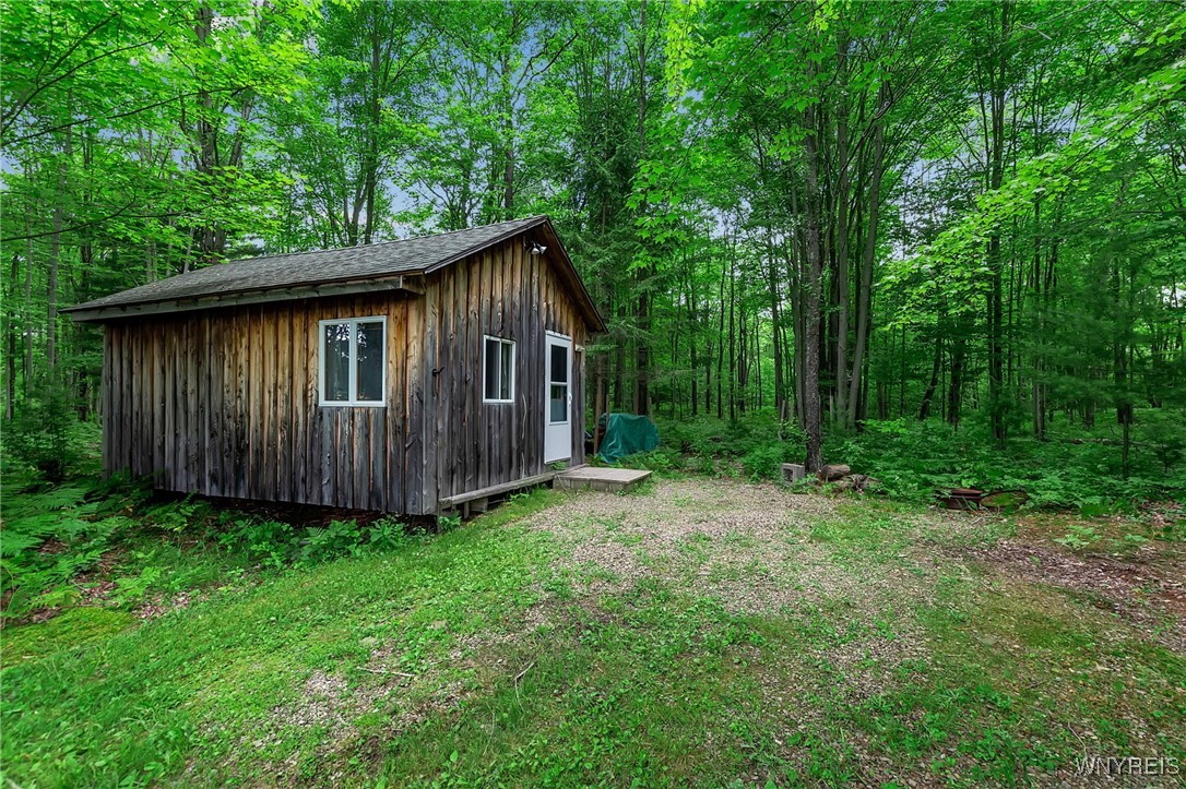 0 Toad Hollow Road Little Valley, NY 14755 - Photo 12 of 49