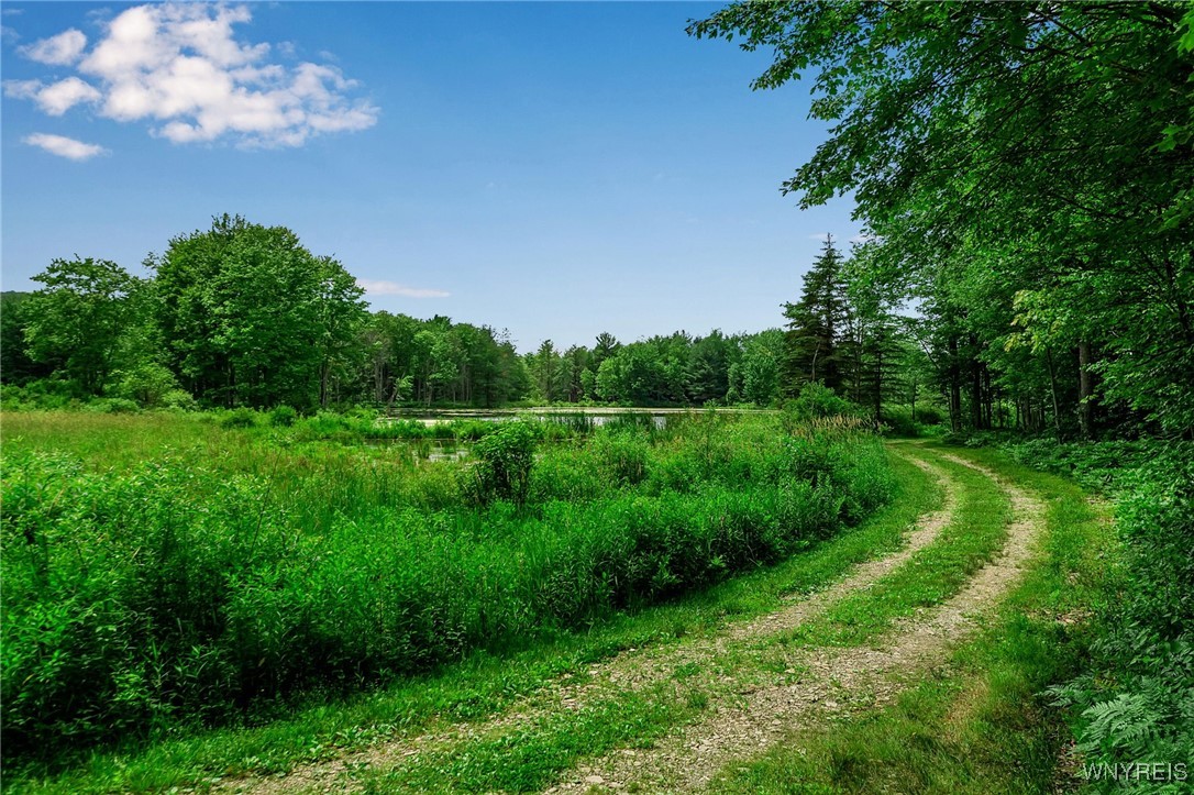0 Toad Hollow Road Little Valley, NY 14755 - Photo 16 of 49