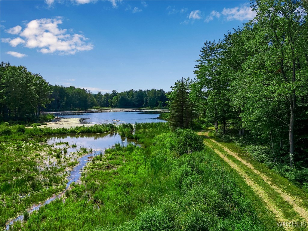 0 Toad Hollow Road Little Valley, NY 14755 - Photo 17 of 49