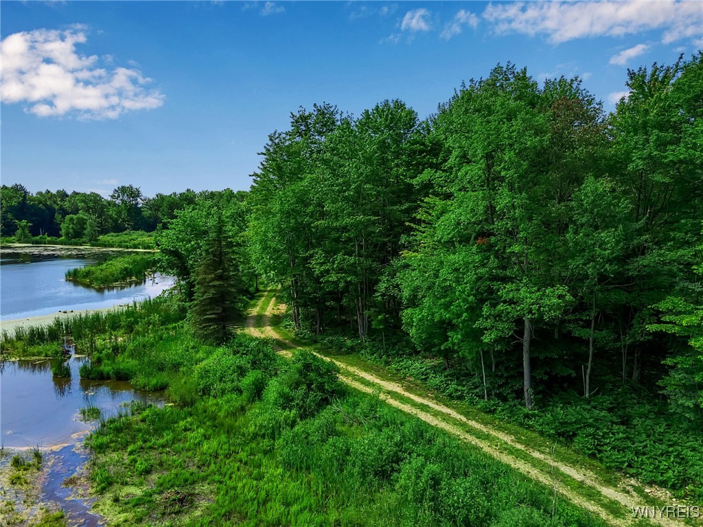 0 Toad Hollow Road Little Valley, NY 14755 - Photo 18 of 49