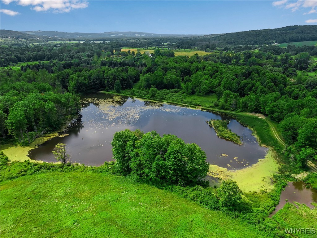 0 Toad Hollow Road Little Valley, NY 14755 - Photo 19 of 49