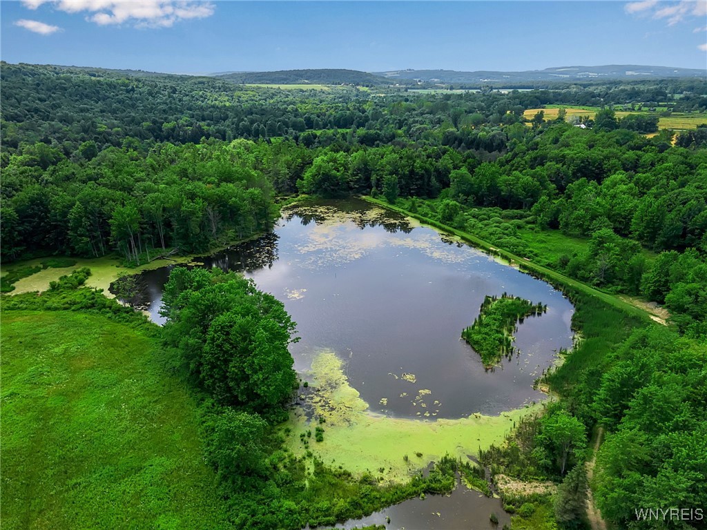 0 Toad Hollow Road Little Valley, NY 14755 - Photo 20 of 49
