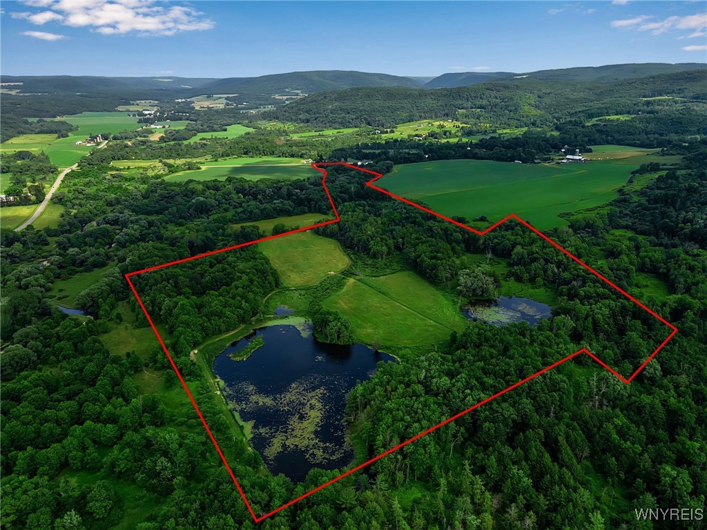 0 Toad Hollow Road Little Valley, NY 14755 - Photo 2 of 49