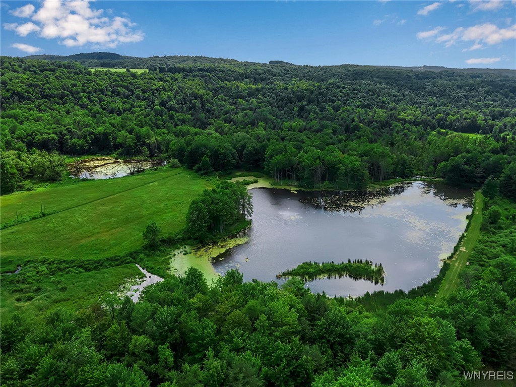 0 Toad Hollow Road Little Valley, NY 14755 - Photo 21 of 49