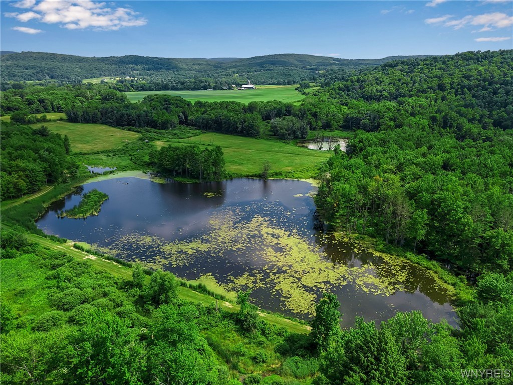 0 Toad Hollow Road Little Valley, NY 14755 - Photo 22 of 49